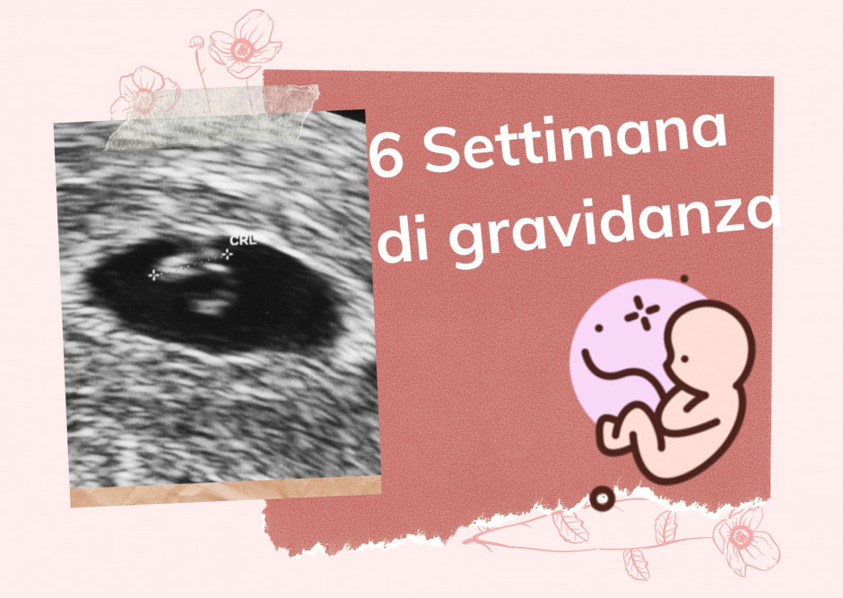 6. Sesta Settimana di gravidanza