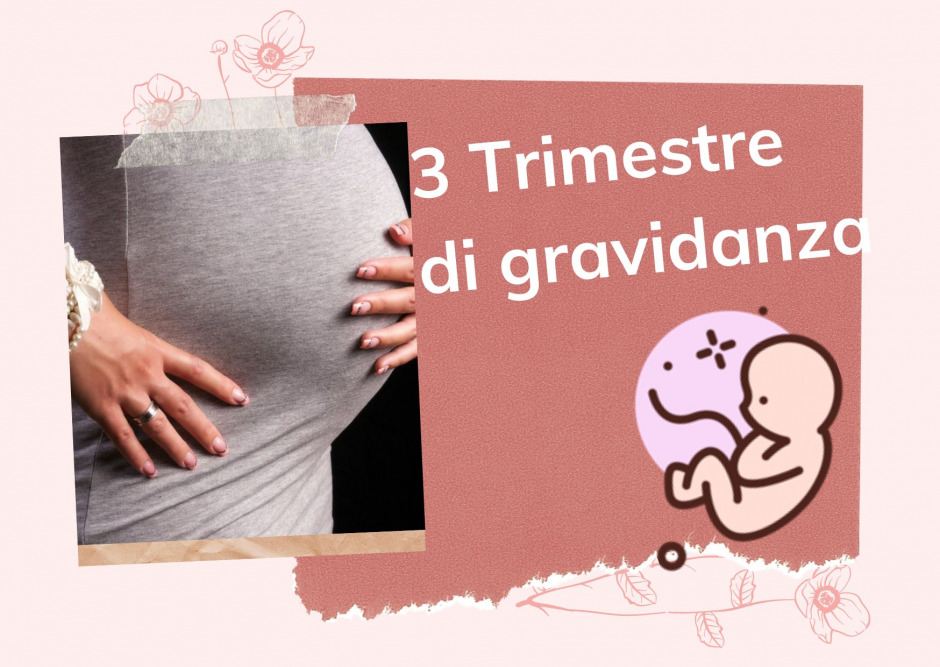 Terzo trimestre di gravidanza