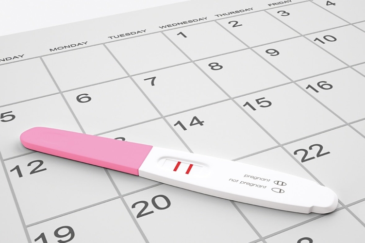  calendario settimane di gravidanza