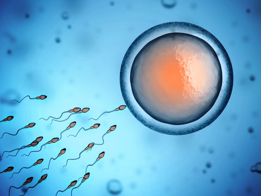 Il muco cervicale e la fertilità: le cose da sapere